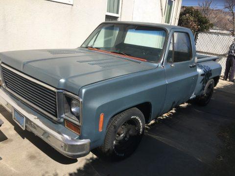 low miles 1974 Chevrolet C 10 pickup for sale