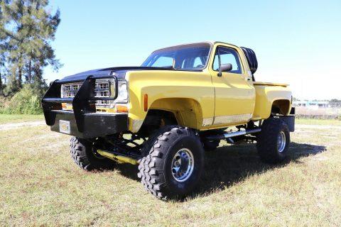 perfectly modified 1976 Chevrolet C 10 pickup for sale