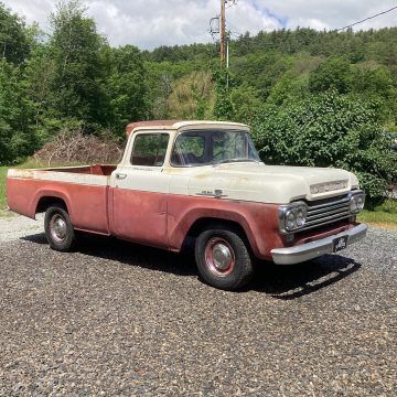 1959 Ford F-100 Styleside for sale