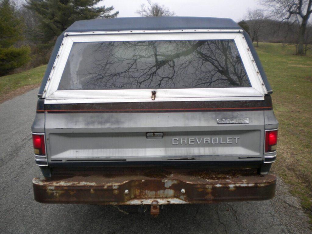 1982 Chevrolet C-10 Scottsdale pickup [original shape]
