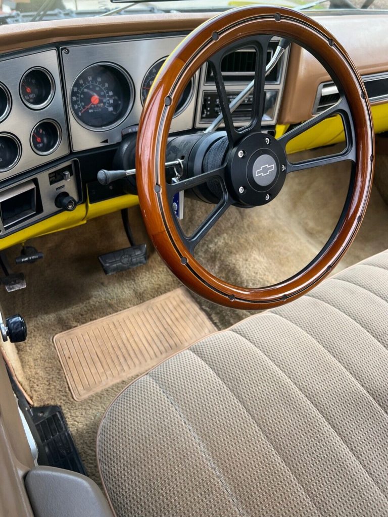 1976 Chevy Stepside Truck 454