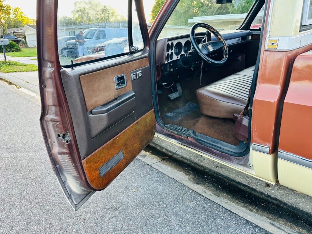 1983 Chevrolet C-10 Silverado 1500 V8 350