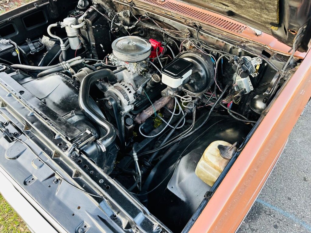 1983 Chevrolet C-10 Silverado 1500 V8 350