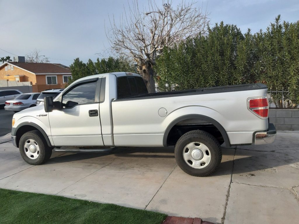 2009 Ford F-150 XL pickup [minor blemishes]
