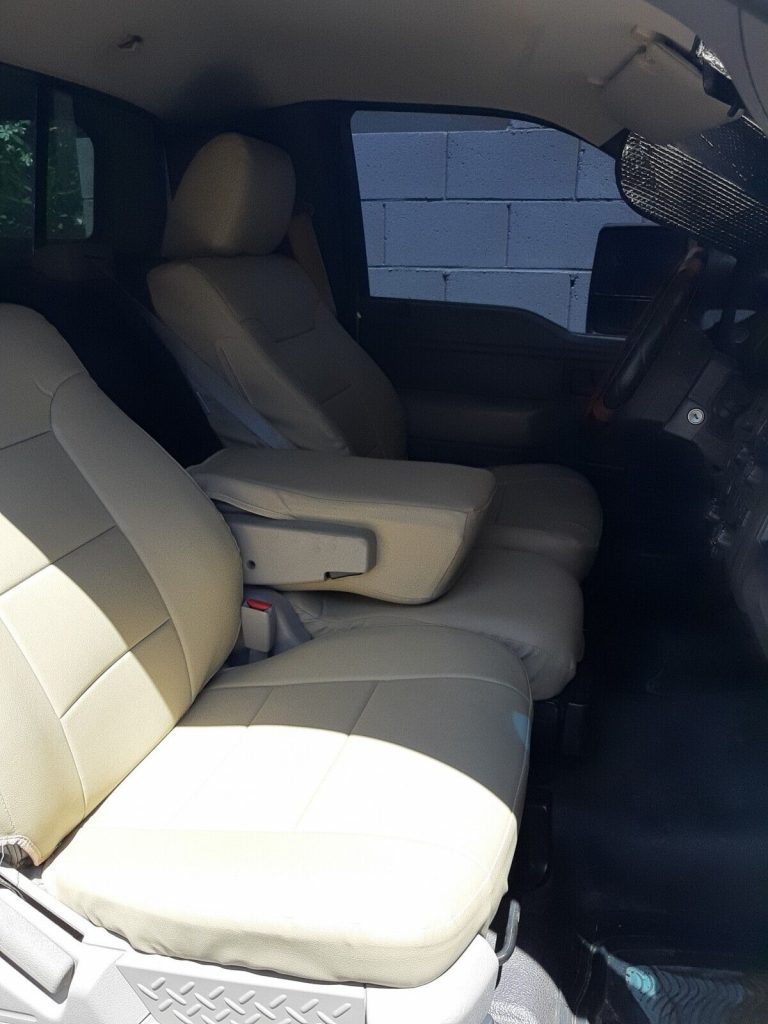 2009 Ford F-150 XL pickup [minor blemishes]