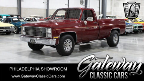 1980 Chevrolet C-10 for sale